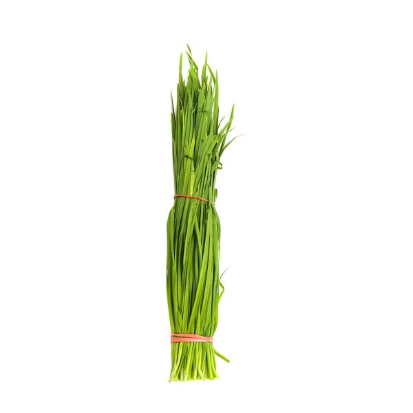 Chives 1lb Fashion