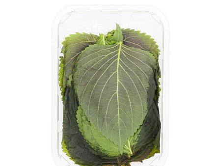 Sesame Leaf on Sale