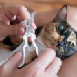 High-Quality Cat Nail Clipper - Ergonomic & Safe, Ideal for Kittens, Puppies, Birds, and Small Animals Sale