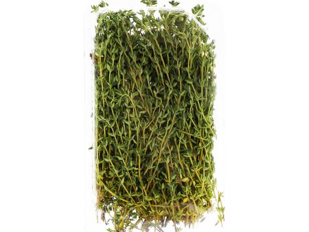 Thyme Sale