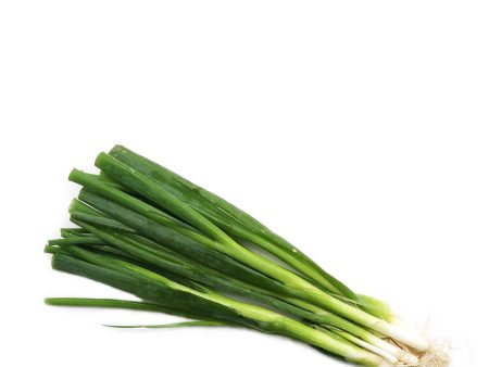 Scallions 1 Bunch Supply