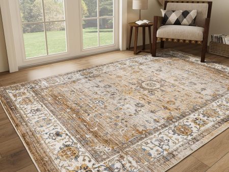 5x7 Washable Area Rug, Non-Slip, Stain-Resistant for Living Room, Bedroom, Kitchen (Apricot Blue, 5 x7 ) Sale