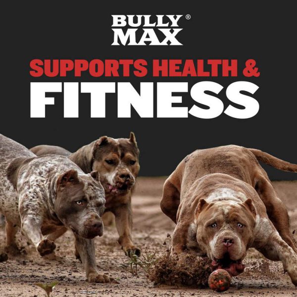 Achieve Healthy Weight Gain for Your Dog: Bully Max Power Chews with Probiotics and High Calories on Sale