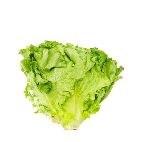 Green Leaf Lettuce 1 Bunch For Discount