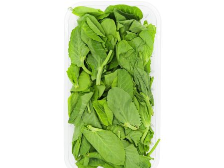 Bean Leaf 0.34lb Fashion