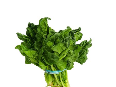 Brussel Spinach 1 Bunch Online now