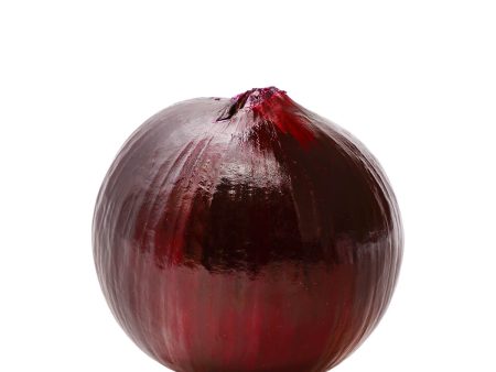 Red Onion 1.1lb Online Sale