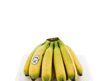 Baby Banana 1.84lb Supply