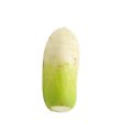 Korean Radish 2.5lb Online