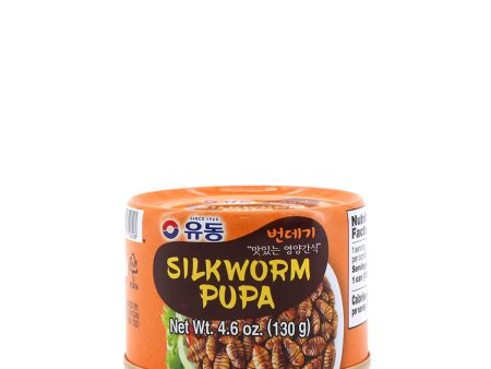 Yoodong Canned Silkworm Pupa 130g Online Sale