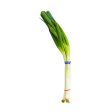 Korean Leek 1 Bunch on Sale