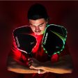 Reebok LED Pickleball Set with Fiberglass Paddles & Light-Up Balls - Ideal for Night Play Sale