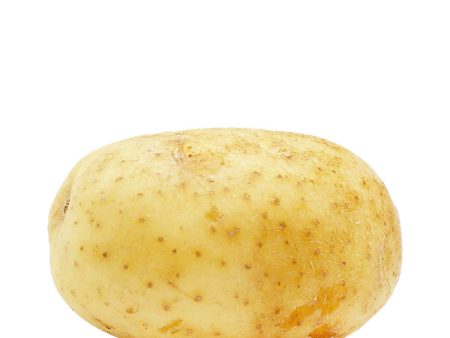 Potato White 1.1lb on Sale