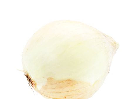 Spanish Yellow Onion 2lb For Discount