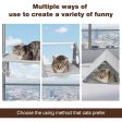 2-in-1 Cat Window Perch & Tunnel: Medium Hammock for Cats up to 40lbs Online Sale