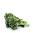 Sweet Broccolini 1 Bunch Supply