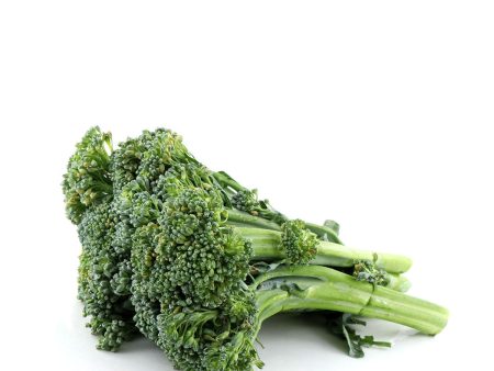 Sweet Broccolini 1 Bunch Supply