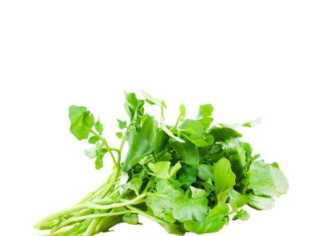 Watercress 1 Bunch For Sale