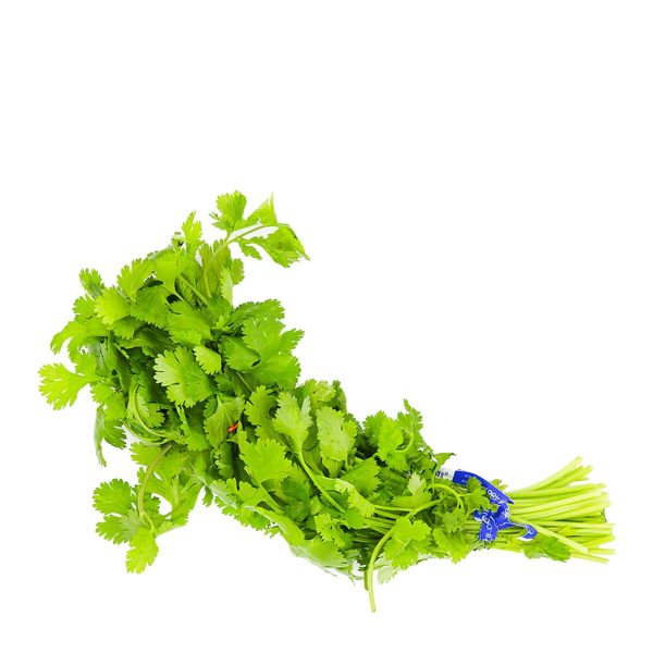 Cilantro 1 Bunch For Sale