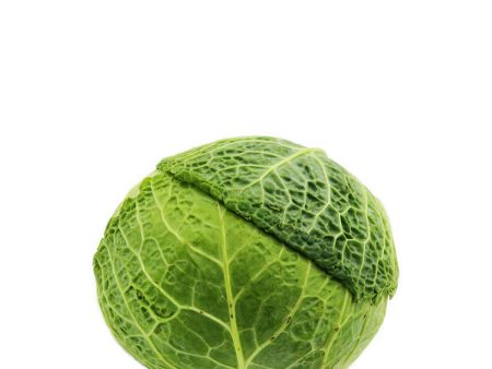 Cabbage Savoy 2.5lb For Discount