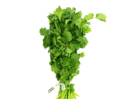 Cal Organic Cilantro 1 Bunch Online now