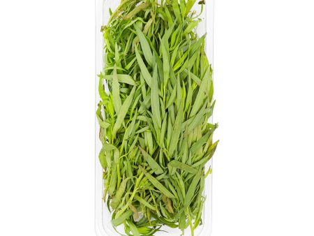 Tarragon Online Sale