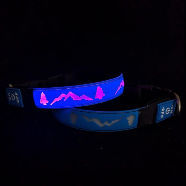 Blue LED Light-Up Dog Collar with USB-C, Adjustable and Rechargeable - Medium (15.7 -19.7 ) Hot on Sale