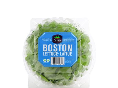 Queen Victoria Boston Lettuce 5.8oz Online