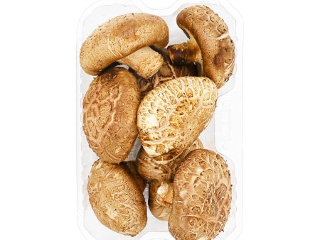 Chinese Shiitake Mushrooms Online now