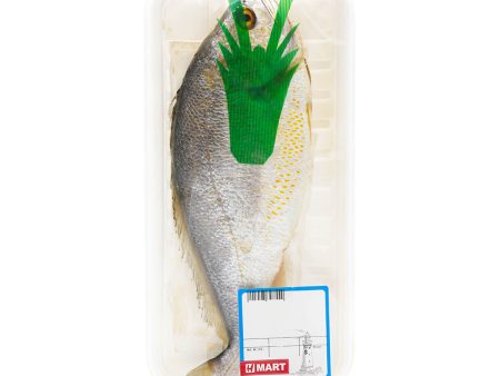 Yellow Croaker Hot on Sale