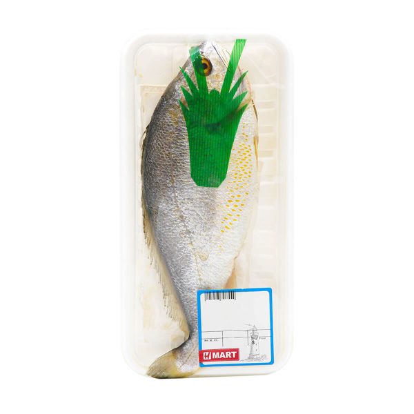 Yellow Croaker Hot on Sale