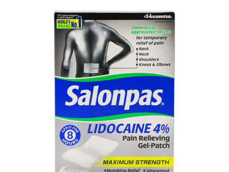 Hisamitsu Salonpas Pain Relieving Gel-Patch 6 Patches Online