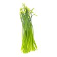 Chive Flower 0.50 lb Online