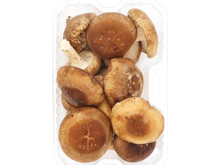 Shiitake Mushrooms Online