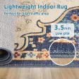 Vintage 3x5 Area Rug, Machine Washable, Non-Slip Boho Design for Entryway, Bedroom & Office Supply