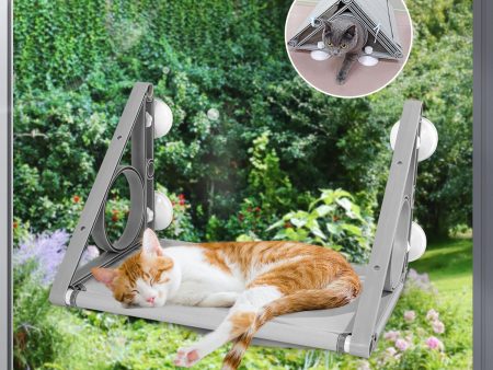 2-in-1 Cat Window Perch & Tunnel: Medium Hammock for Cats up to 40lbs Online Sale