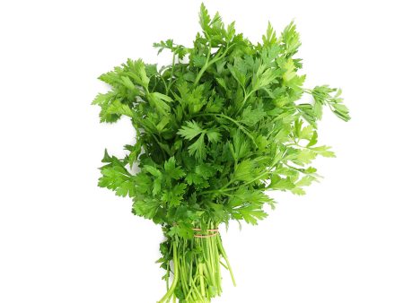 Plain Parsley 1 Bunch Hot on Sale