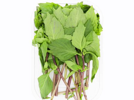 Thai Basil For Sale