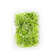 Fresh Shredded Scallion 1 Pack Online Sale