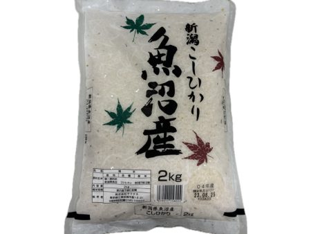 Yamatane Kome Uonuma Koshhika 4.4lb For Sale