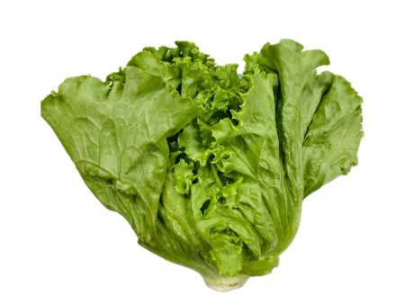 Cal-Organic Green Leaf Lettuce 1 Bunch on Sale