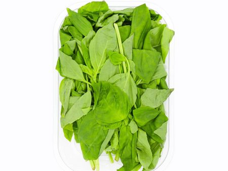 Basil Online Hot Sale